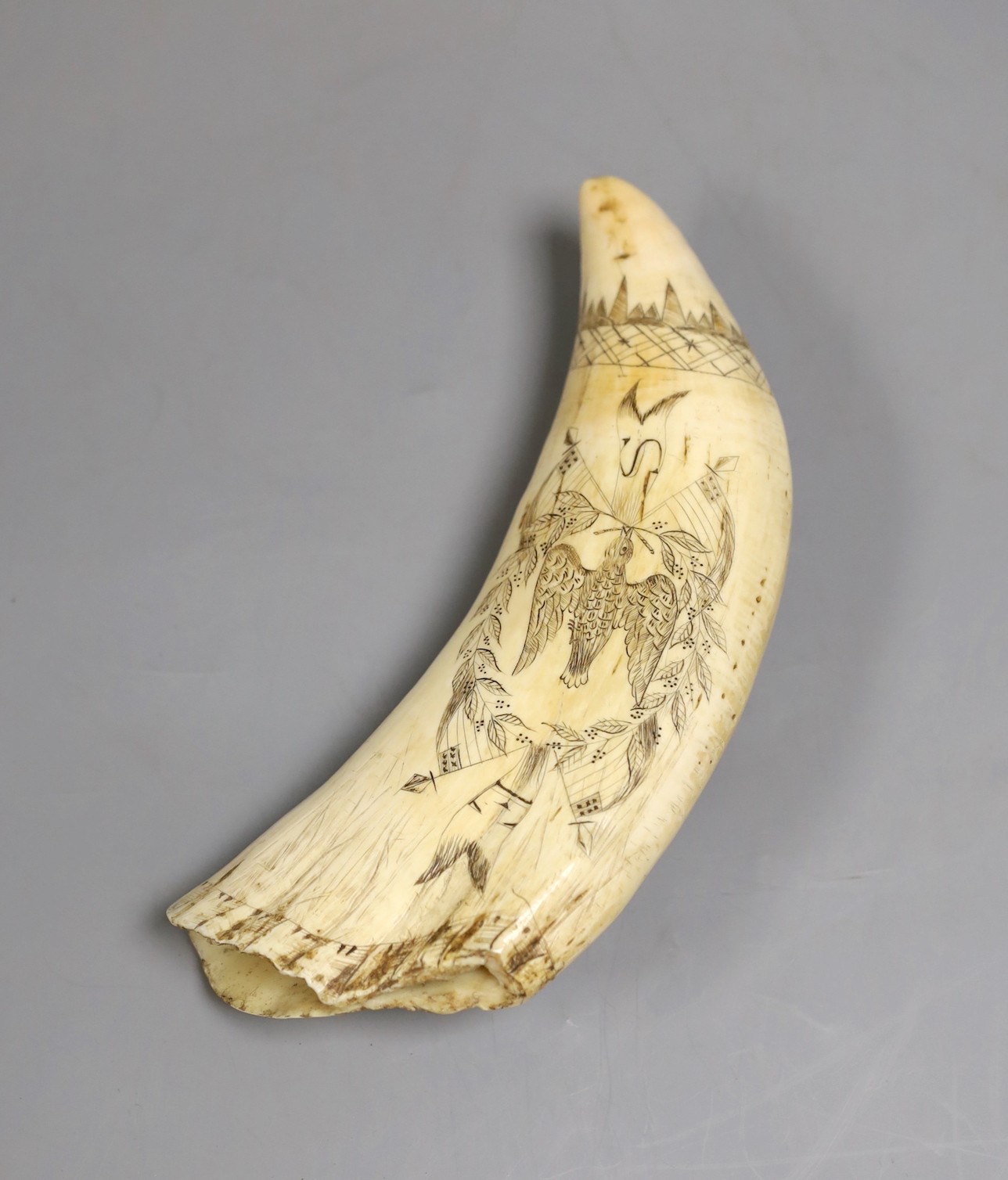 A 19th century scrimshaw sperm whale's tooth, 19.5 cms long, depicting a whaling scene, the reverse with a dove grasping a wreath and the initials S E.